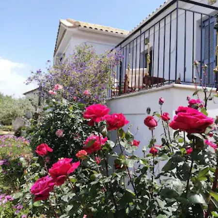 Vila Olivetree House Ithaka Exteriér fotografie