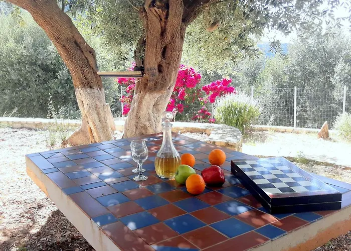 Olivetree House
