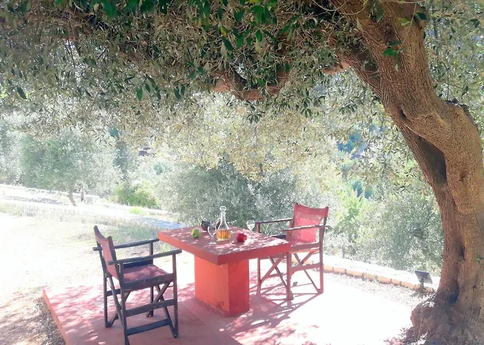 Olivetree House