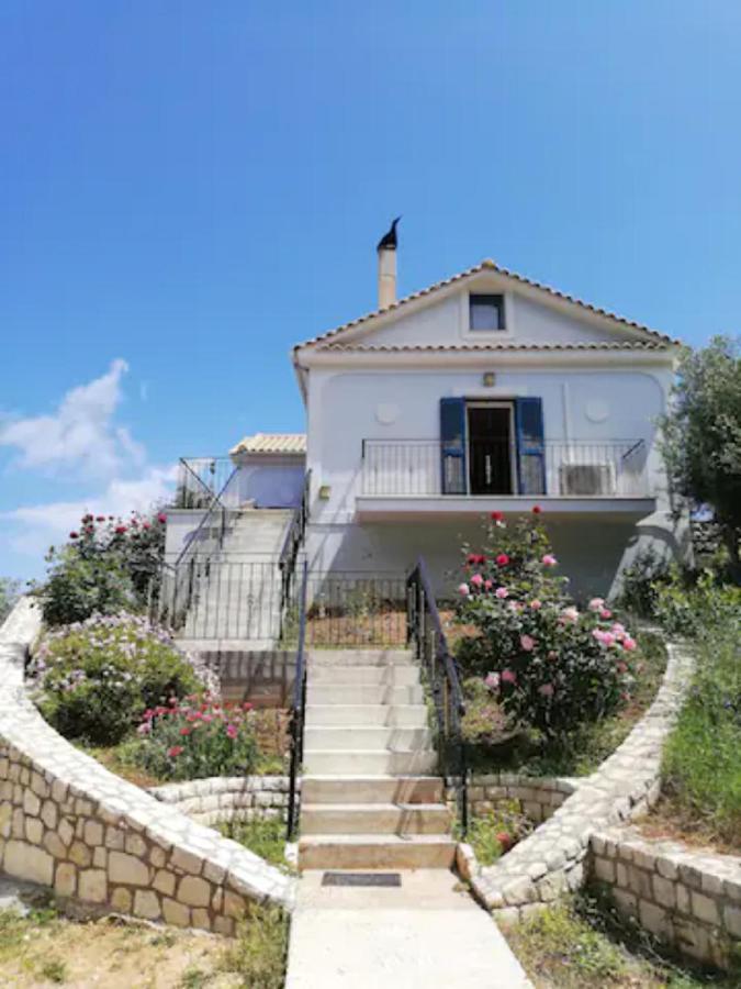 Holiday home Olivetree House
