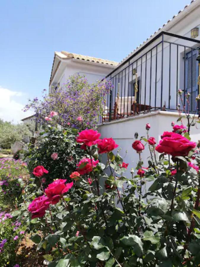 Olivetree House *