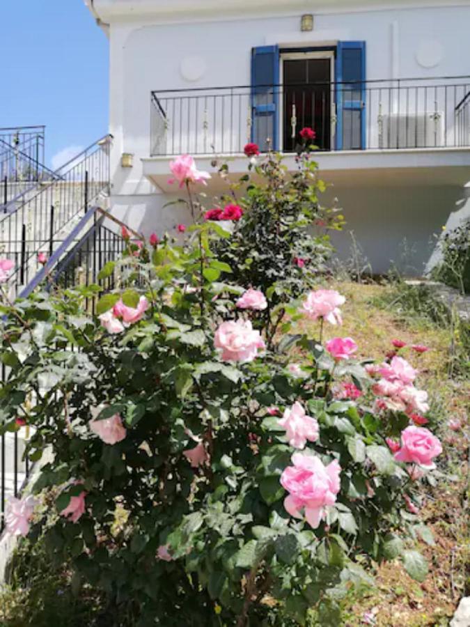 Olivetree House *