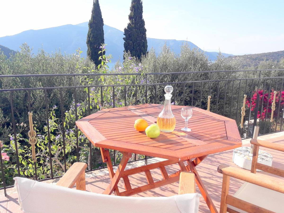 Olivetree House Holiday home *