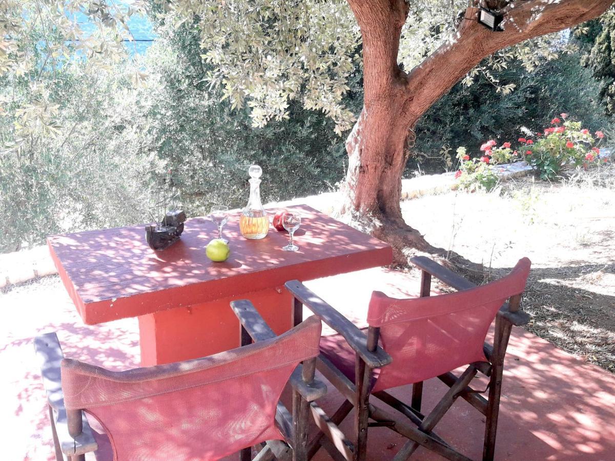 Olivetree House Holiday home *