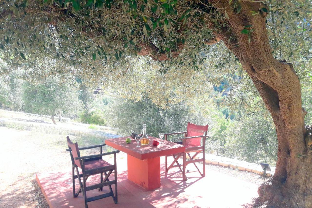 Olivetree House Holiday home *