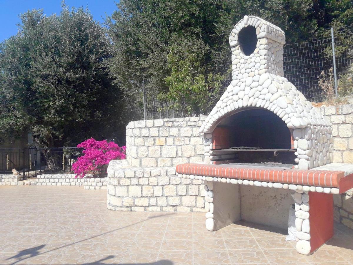 Olivetree House Holiday home *