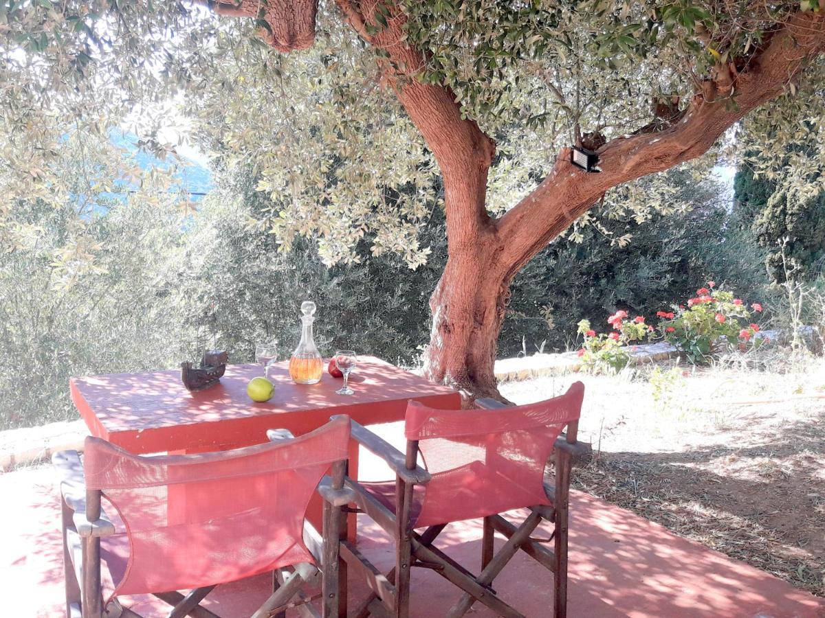 Holiday home Olivetree House Vathy (Ithaca)
