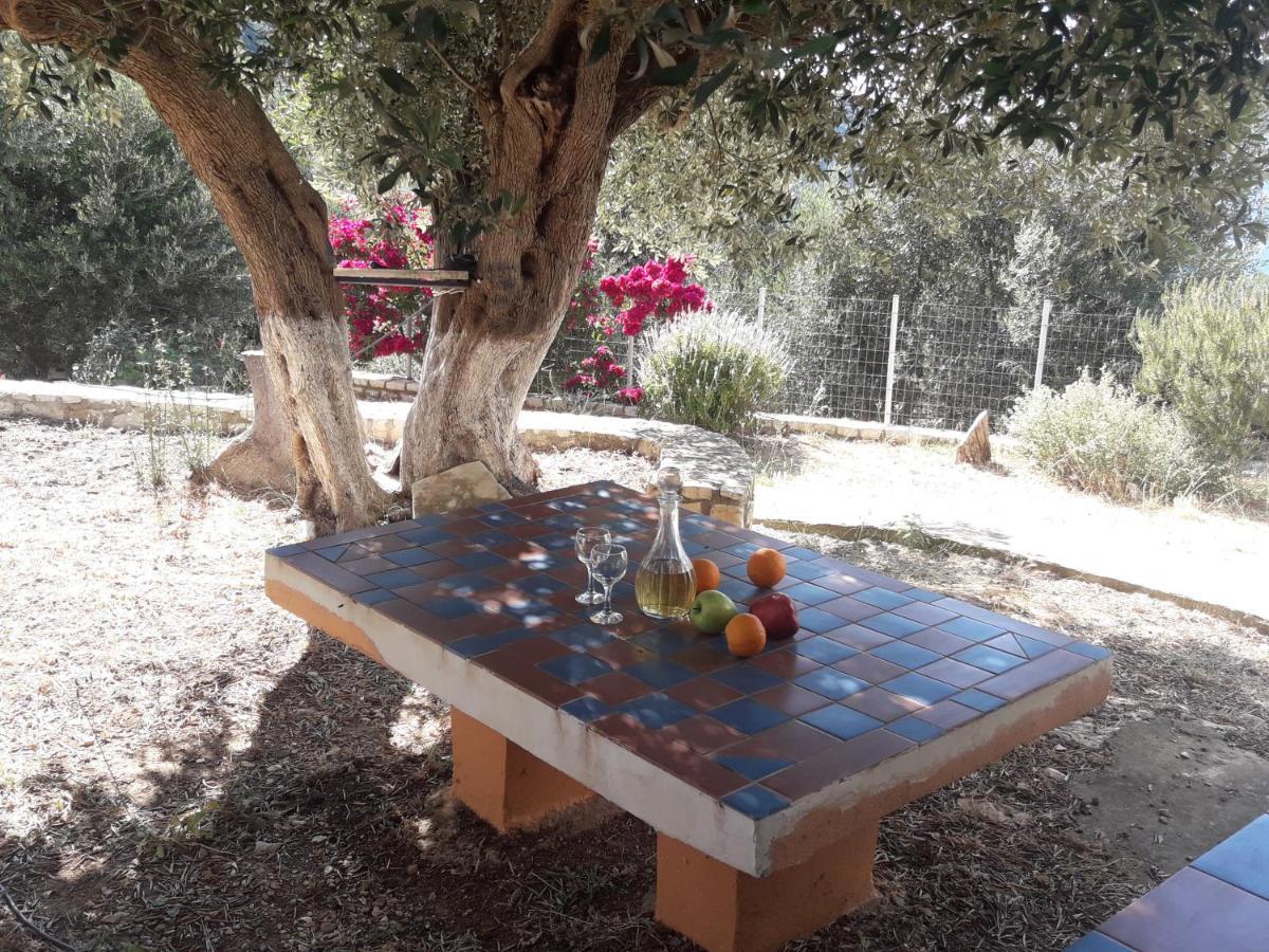 Olivetree House Holiday home